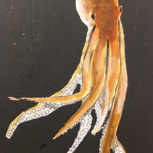 Pulpo1
